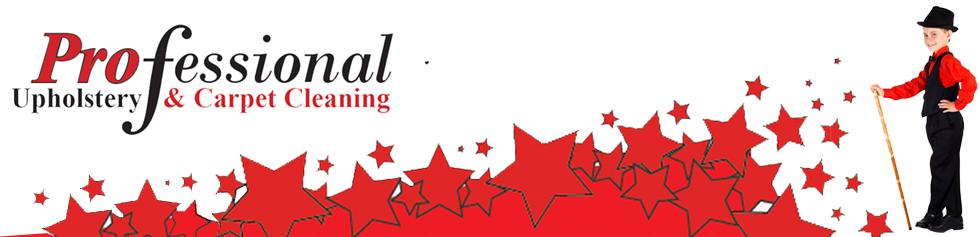 Professional Upholstery & Carpet Cleaning